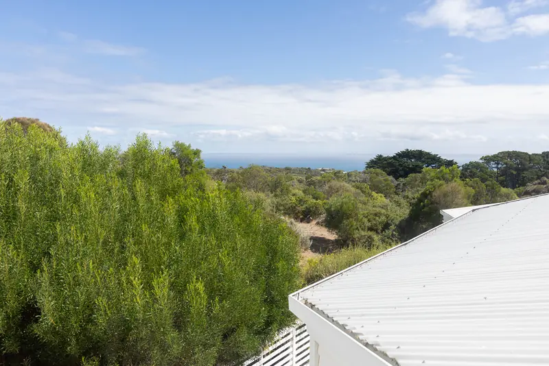 The view over the tea-trees to the sea