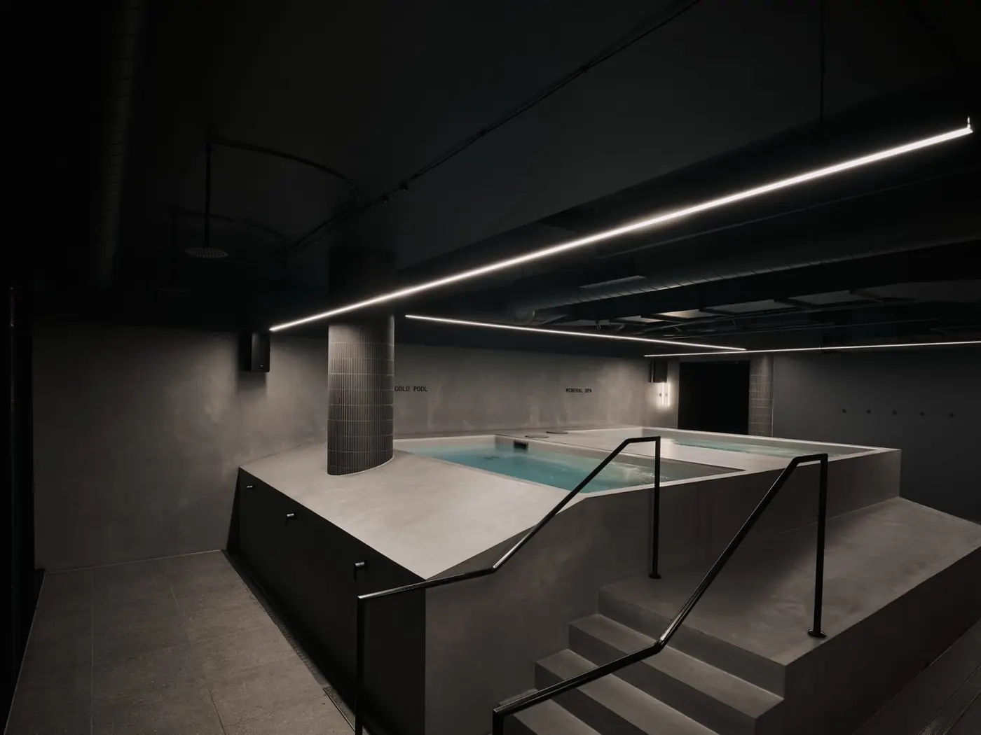 Stairs down into a plunge pool in the dark-walled recovery room