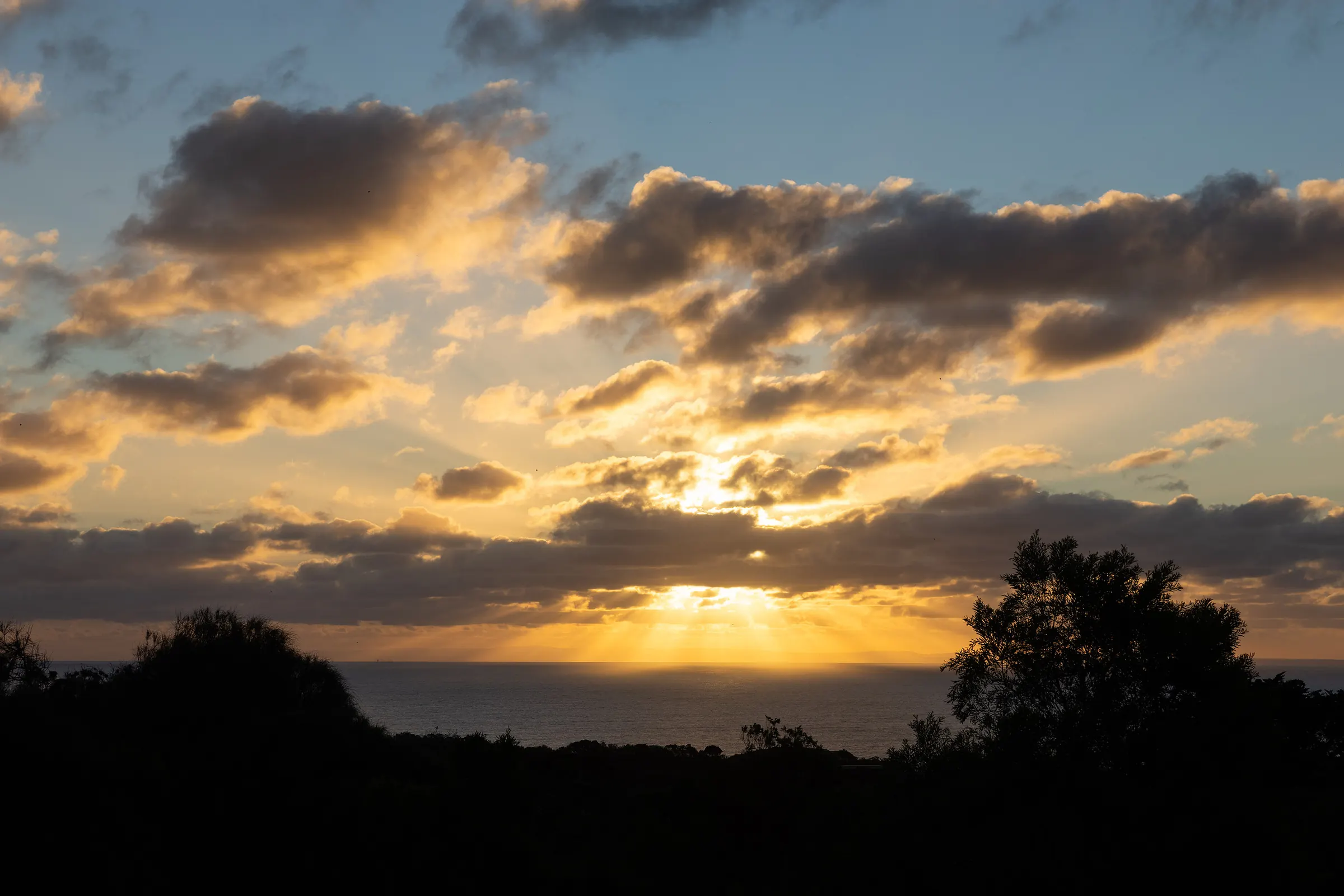 The sun setting through cloud over the ocean, behind dark tea-trees